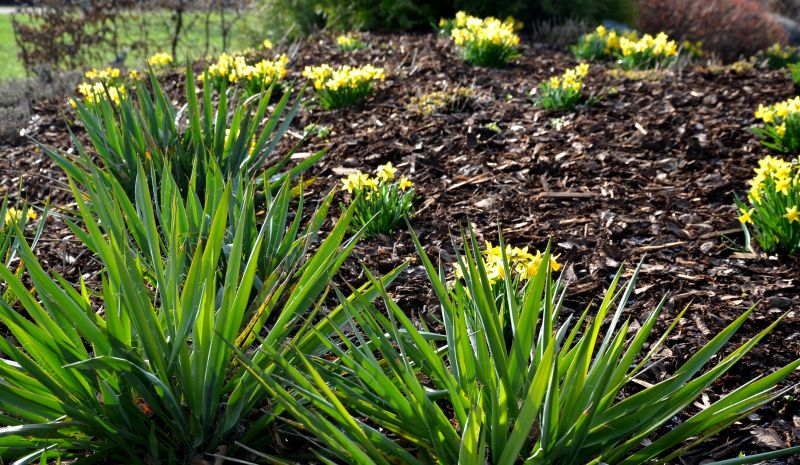 Organic Mulch Installation